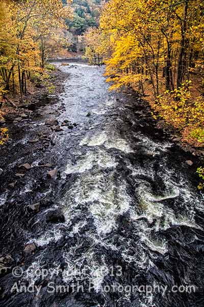 Rapids in Mongaup River